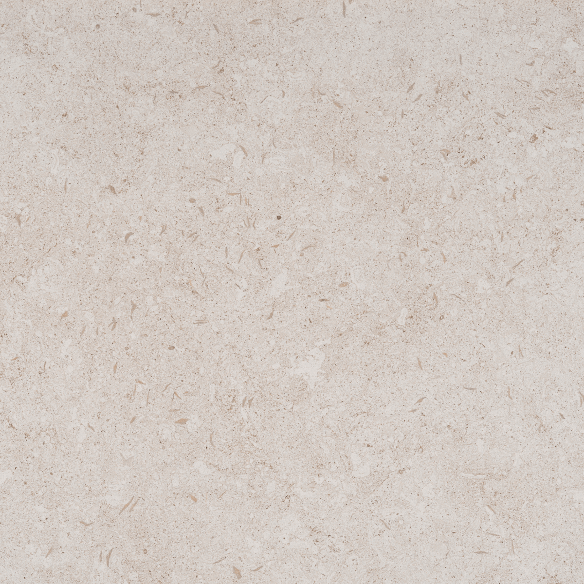 Nebbia Dekton | Vedek Revestimientos