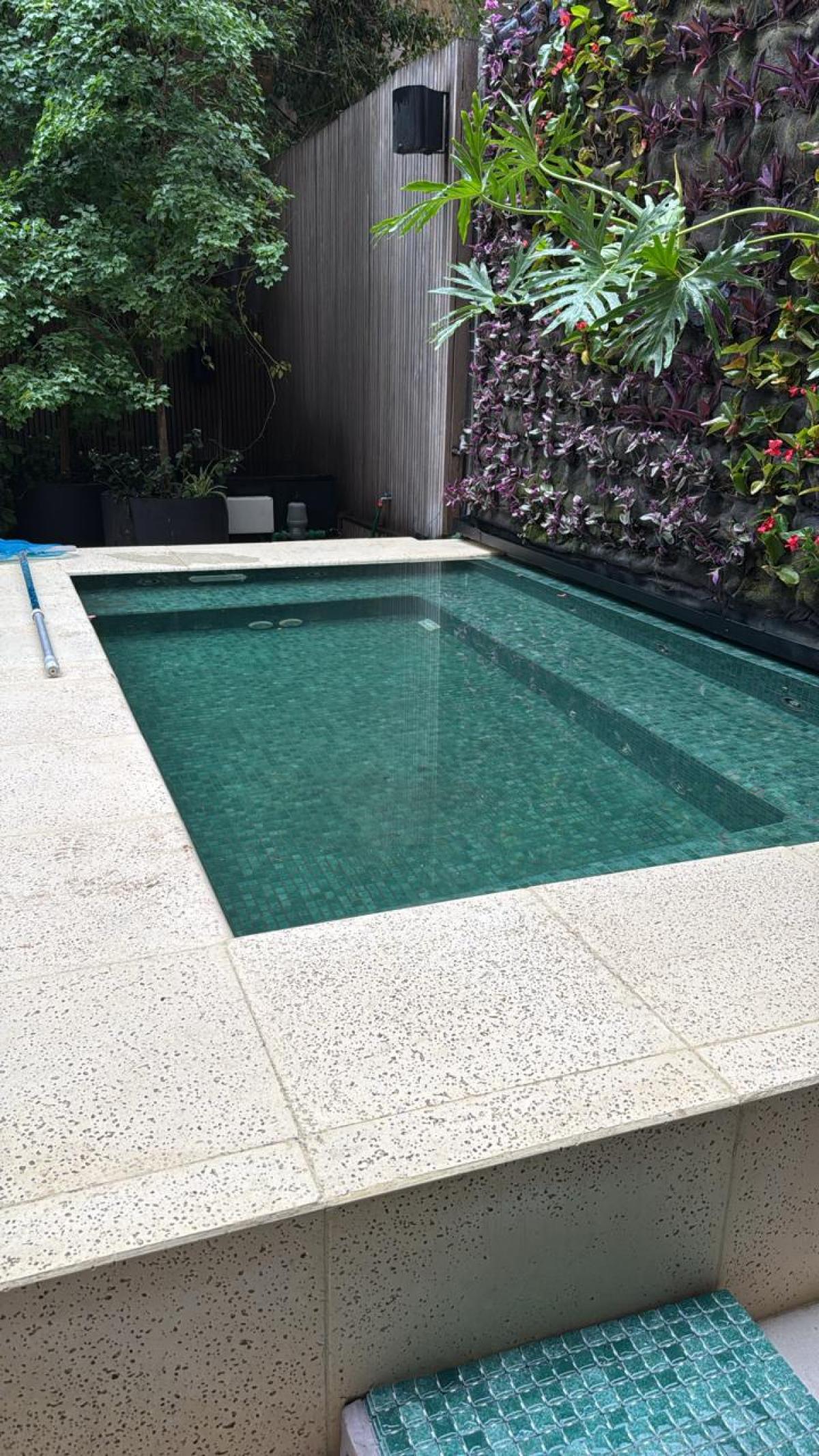 Venecitas Exclusive Verde Oscuro - DK 87  | Vedek Revestimientos